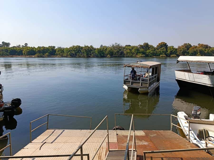 Victoria Falls: Private Zambezi River Birdwatching Safari - The African Finfoot search