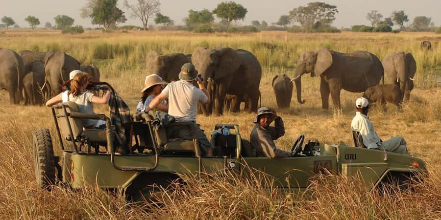 Victoria Falls Safari with Lunch and Sunset Cruise - Victoria Falls at 11:00 AM, when the Zambezi reaches the gorge