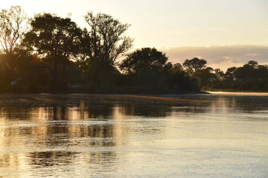 Victoria Falls: Sunrise Cruise on the Zambezi River - Who will enjoy this sunrise cruise most?