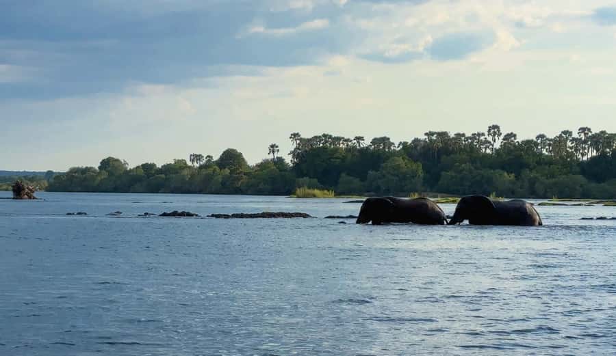 Victoria Falls: Sunset Cruise on the Zambezi River - Drinks and snacks during the two-hour cruise
