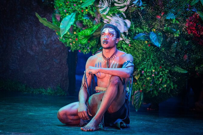 Victoria Falls Theatre Featuring Simunye: The Spirit of Africa - Is $50 a fair price?