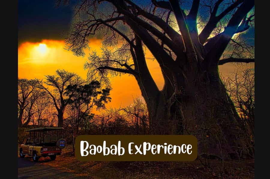 Victoria Falls: Vulture Safari and Bush Walk - The gorge stop and panoramic Zambezi views