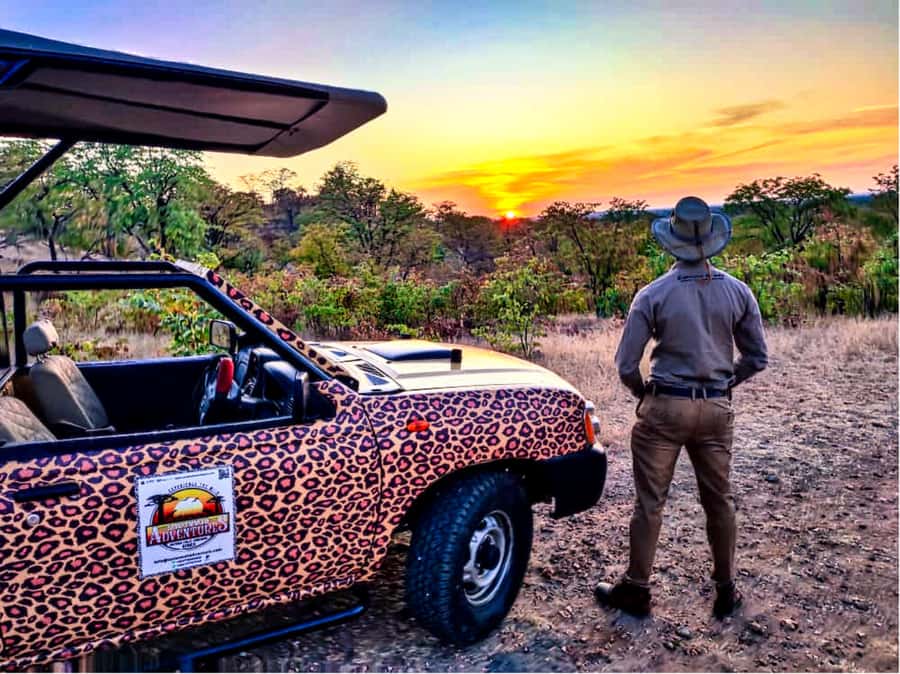 Victoria Falls: Vulture Safari and Bush Walk - The waterhole and the ride back to Victoria Falls