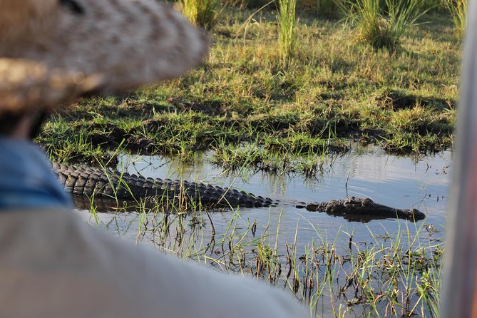 Victoria Falls: Whitewater Rafting + Chobe Safari Combo - Day two: Chobe National Park by road and river