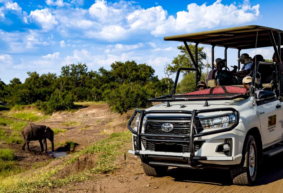 Victoria Falls: Zambezi National Park Game Drive - Leaving Victoria Falls for the Zambezi