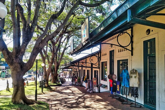 Walking Safari of Victoria Falls Town - Why this short walk works well in Victoria Falls
