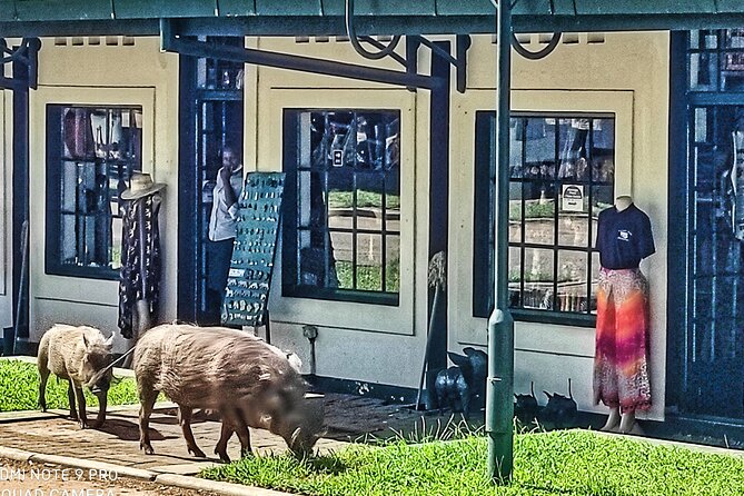 Walking Safari of Victoria Falls Town - Inside the Victoria Falls Hotel story