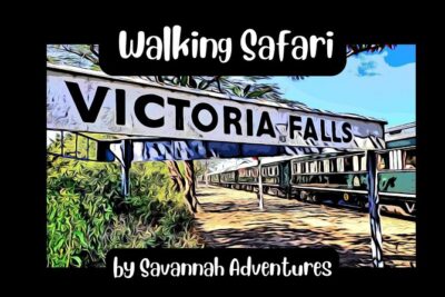 Walking Safari of Victoria Falls Town