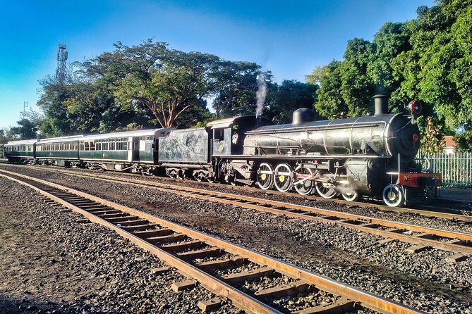 Walking Safari of Victoria Falls Town - What the guide adds to the experience