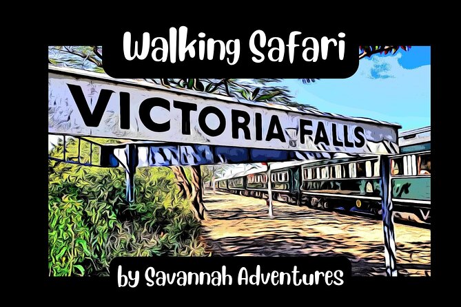 Walking Safari of Victoria Falls Town - Starting along Mallet Drive and the town streets