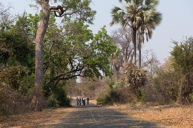 Wild Horizons Bike Tour (Zimbabwe) - Is $45 a fair price?