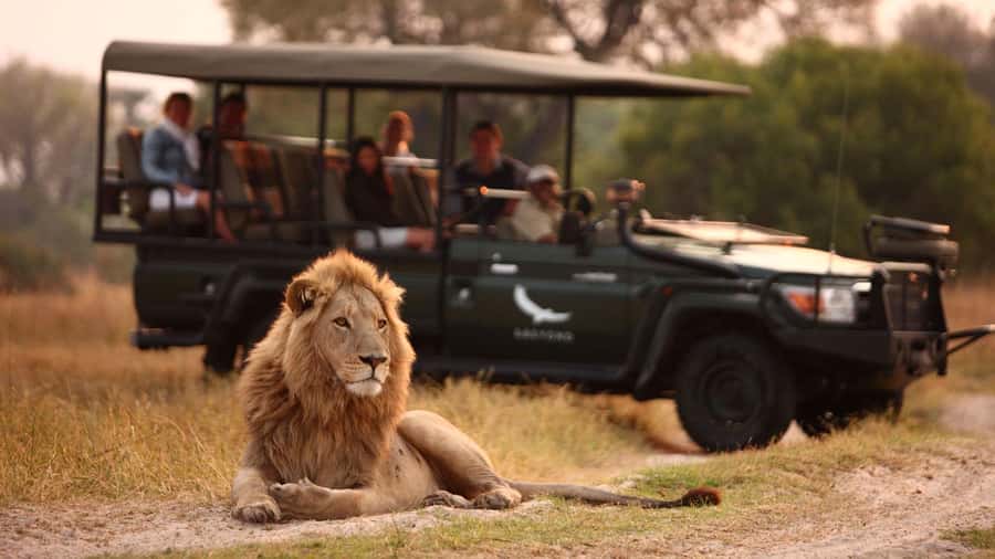 Zambezi 3hr Game Drive - What the three-hour Zambezi drive is really like