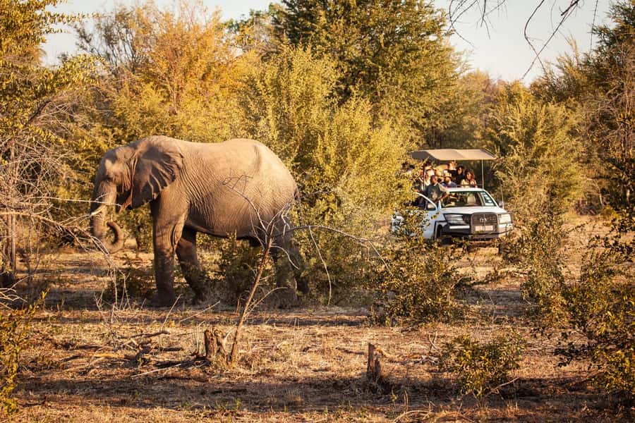 Zambezi 3hr Game Drive - Pickup, park entry, and the cost of lost minutes