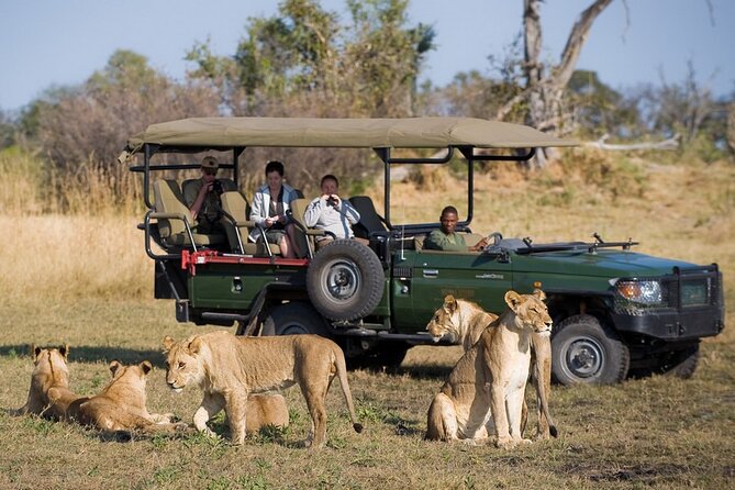 Zambezi National Park AM or PM Game Drive - Why Zambezi National Park Fits a Victoria Falls Trip