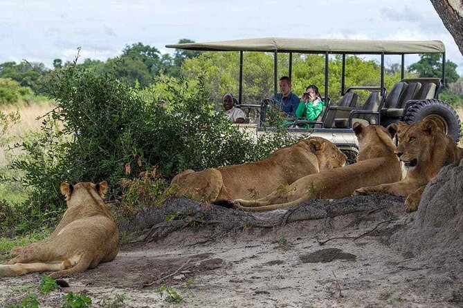 Zambezi National Park AM or PM Game Drive - The Guide Makes the Difference