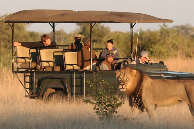 Zambezi National Park AM or PM Game Drive - Group Size, Transfers, and Practical Planning