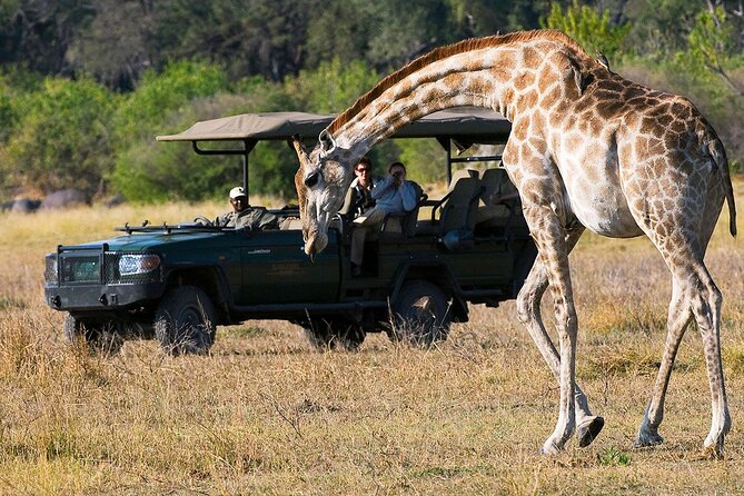 Zambezi National Park AM or PM Game Drive - What Happens During the Two-and-a-Half-Hour Game Drive