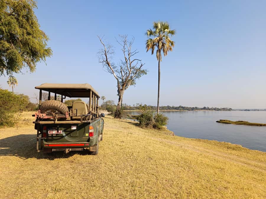 Zambezi National Park Private Wildlife Safari (4 - 10 hours) - Savannah, shrubland, and patient searching