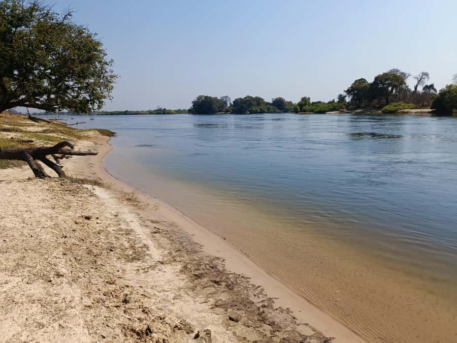 Zambezi National Park Private Wildlife Safari (4 - 10 hours) - What the guides add to the outing