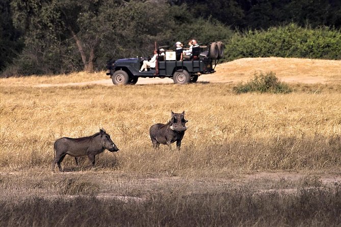 Zambezi River Standard Sunset Cruise - Key points at a glance
