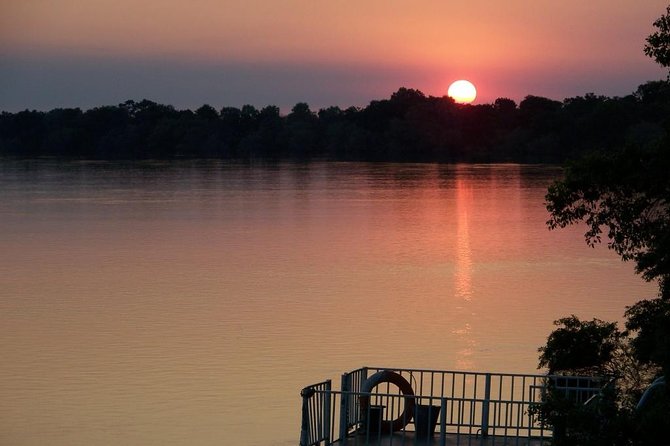 Zambezi River Standard Sunset Cruise - Watching hippos, crocodiles, and riverbank animals