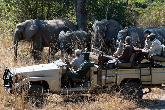 Zambezi Sunset Cruise + Game Drive Safari with hotel Pick Up - Starting from your accommodation