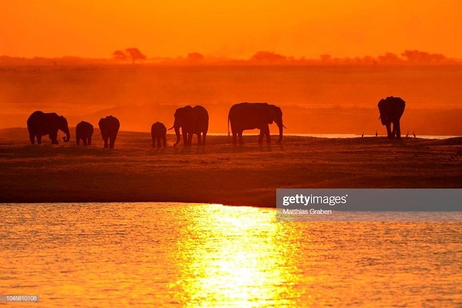 Zambezi Sunset Cruise + Game Drive Safari with hotel Pick Up - Service, flexibility, and the human side