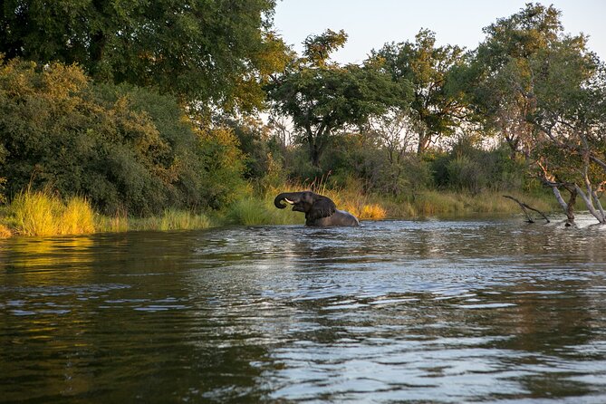 Zambezi Sunset Cruise – Wildlife, Drinks & Breathtaking Views - Why a Zambezi sunset cruise is worth your time