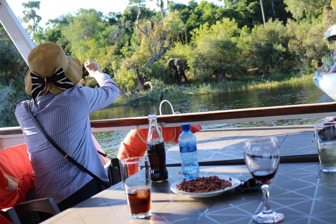 Zambezi Sunset Cruise – Wildlife, Drinks & Breathtaking Views - Looking for hippos, crocodiles, and birds