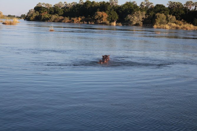 Zambezi Sunset Cruise – Wildlife, Drinks & Breathtaking Views - Snacks and drinks on deck
